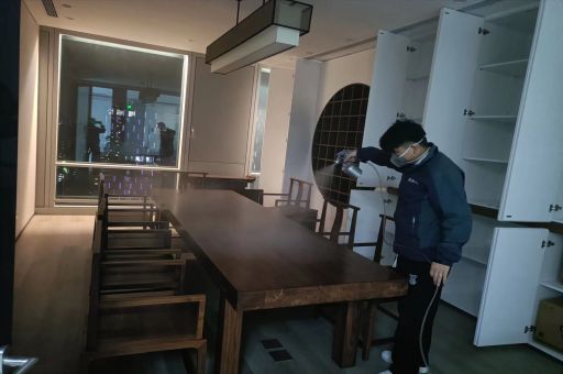 專業(yè)治理甲醛